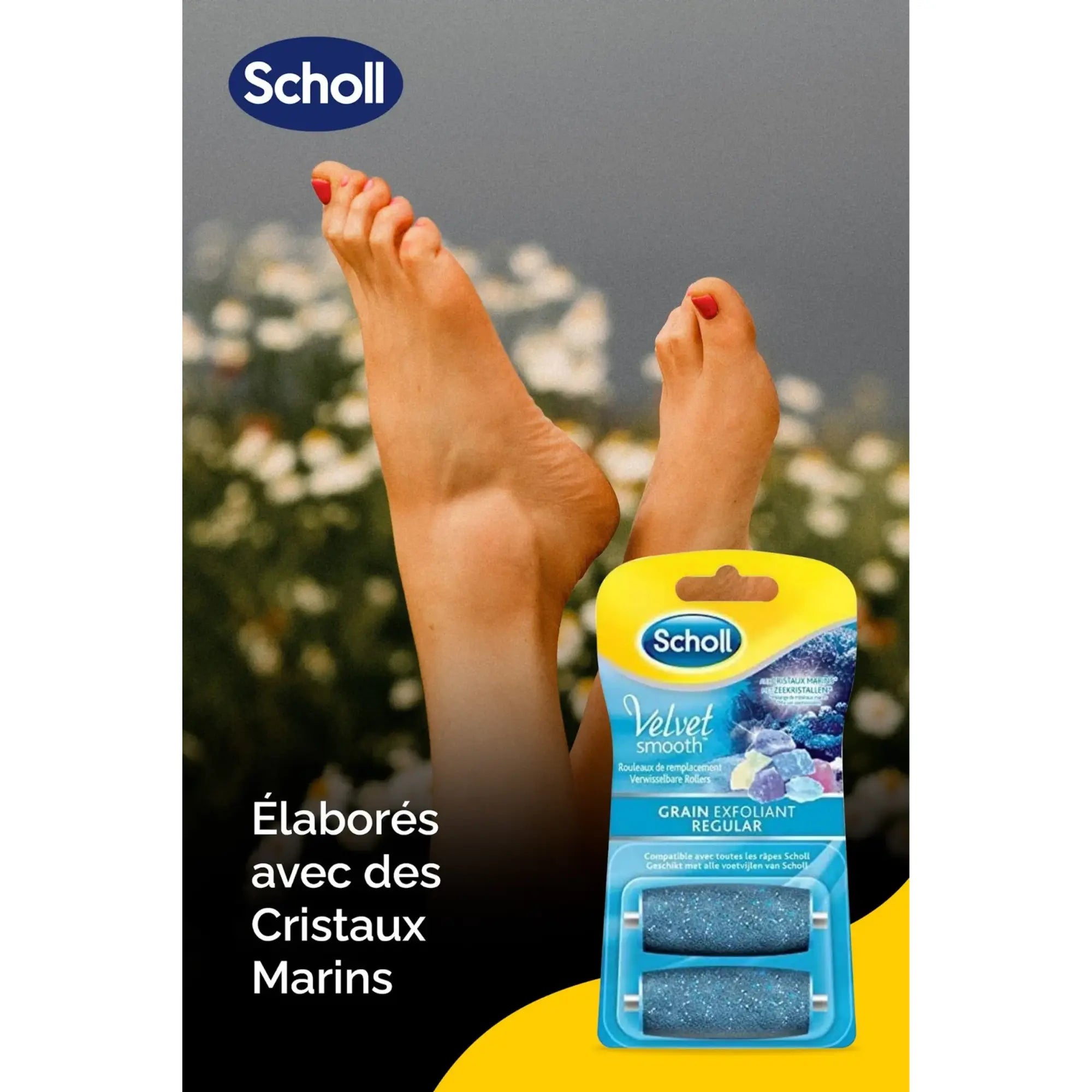 Recharge Rouleau Grain Exfoliant - Râpe de Pédicurie Électrique - Velvet Smooth - Scholl Scholl 